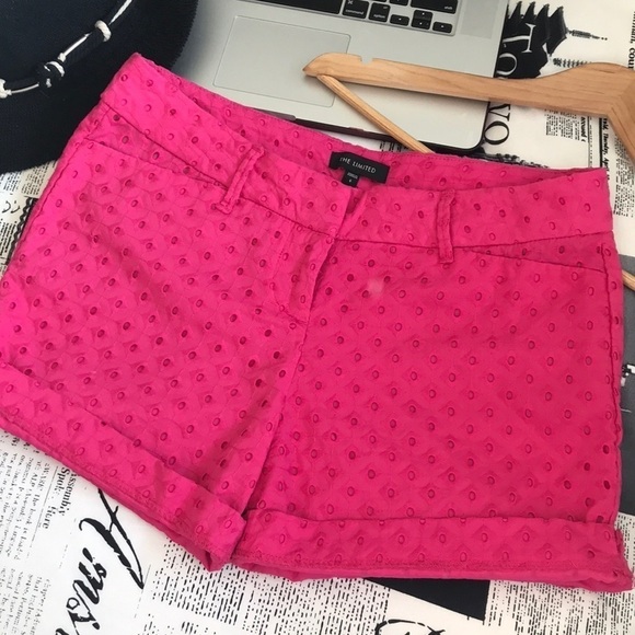 nwot // the limited embroidered eyelet shorts - Picture 8 of 8